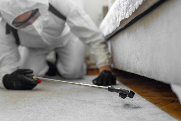 Professional Ant Control technician working in San Juan, TX