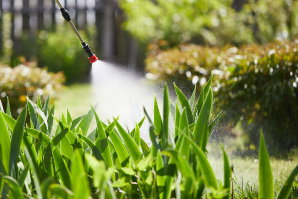 24/7 Emergency Ant Control experts in San Juan, TX