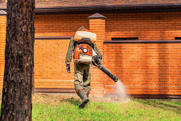 Trusted Ant Control service in San Juan, TX - Nex Pest Control
